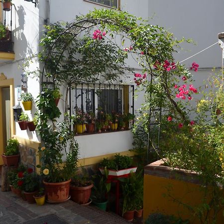 Finca El Molino De Aceite Jubrique 外观 照片