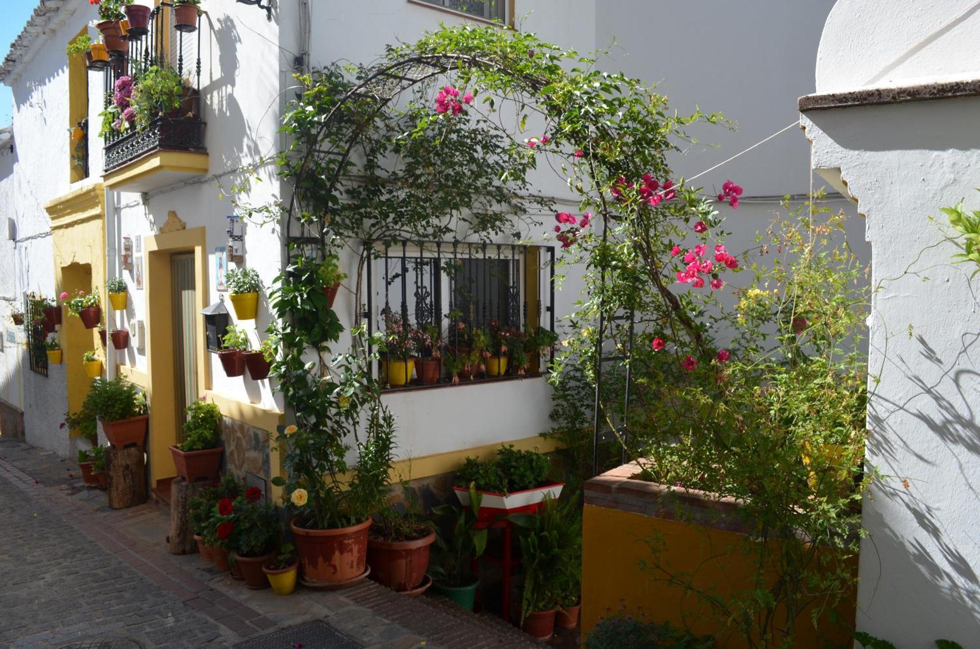 Finca El Molino De Aceite Jubrique 外观 照片