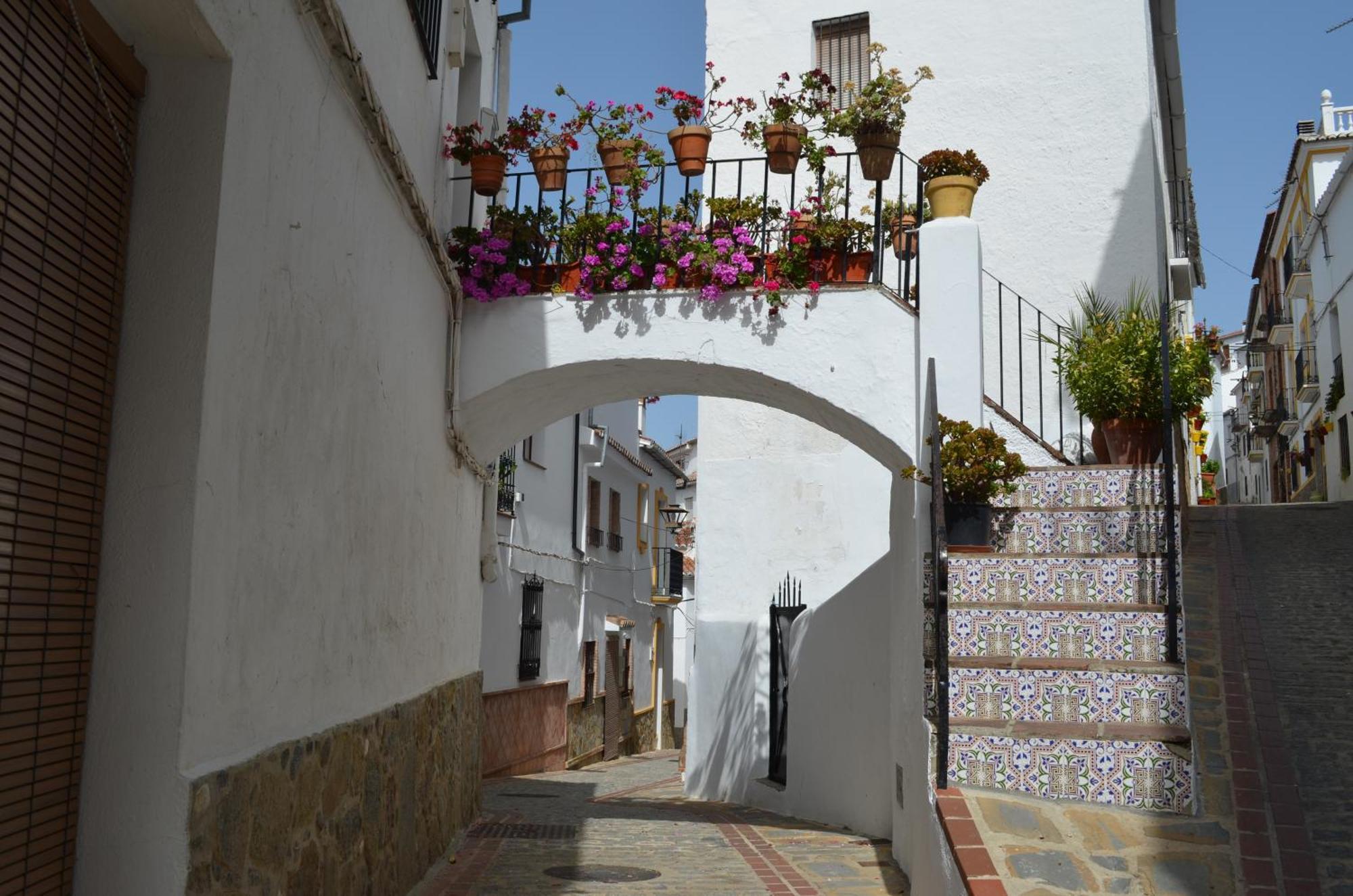 Finca El Molino De Aceite Jubrique 外观 照片