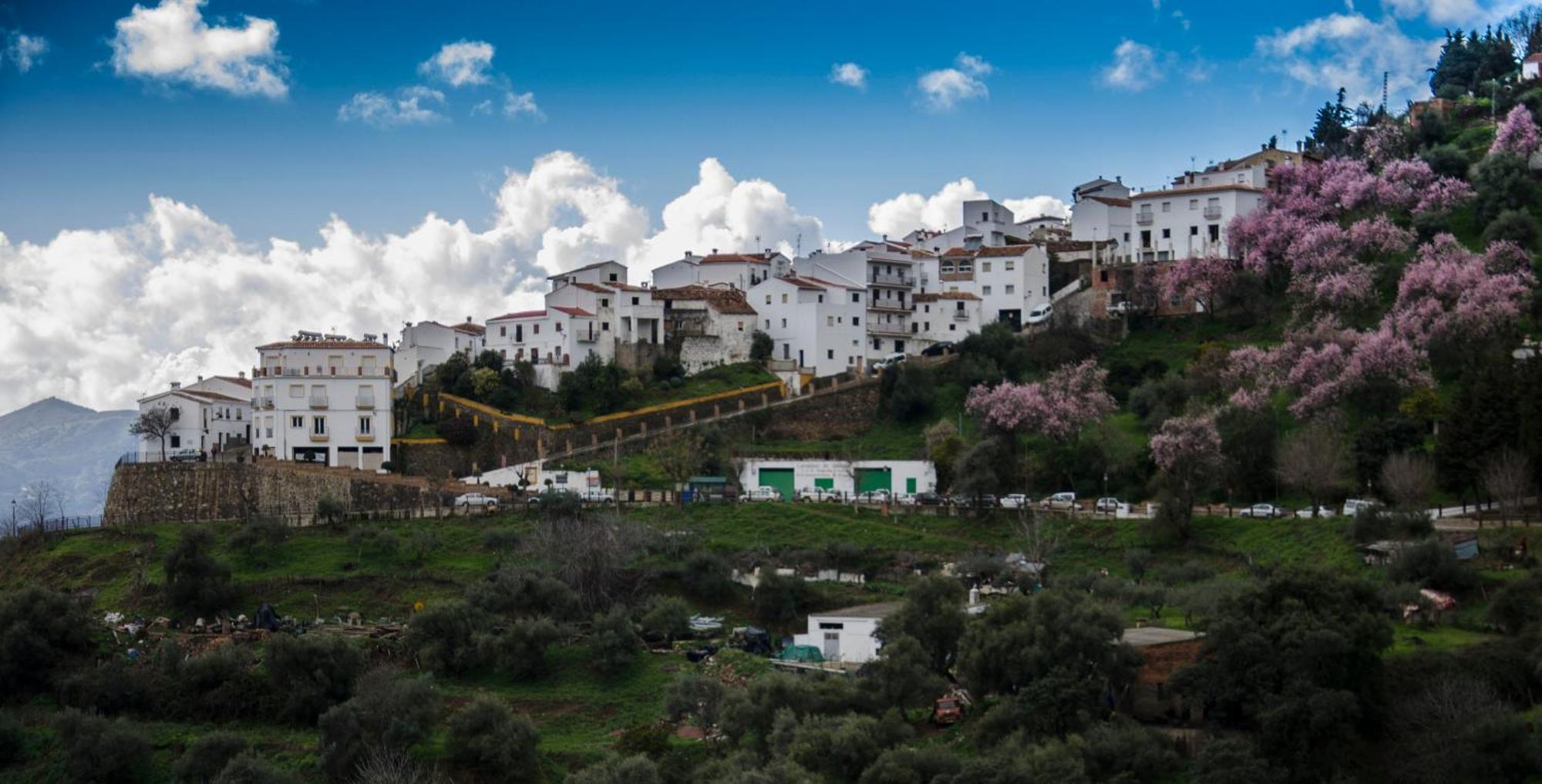 Finca El Molino De Aceite Jubrique 外观 照片
