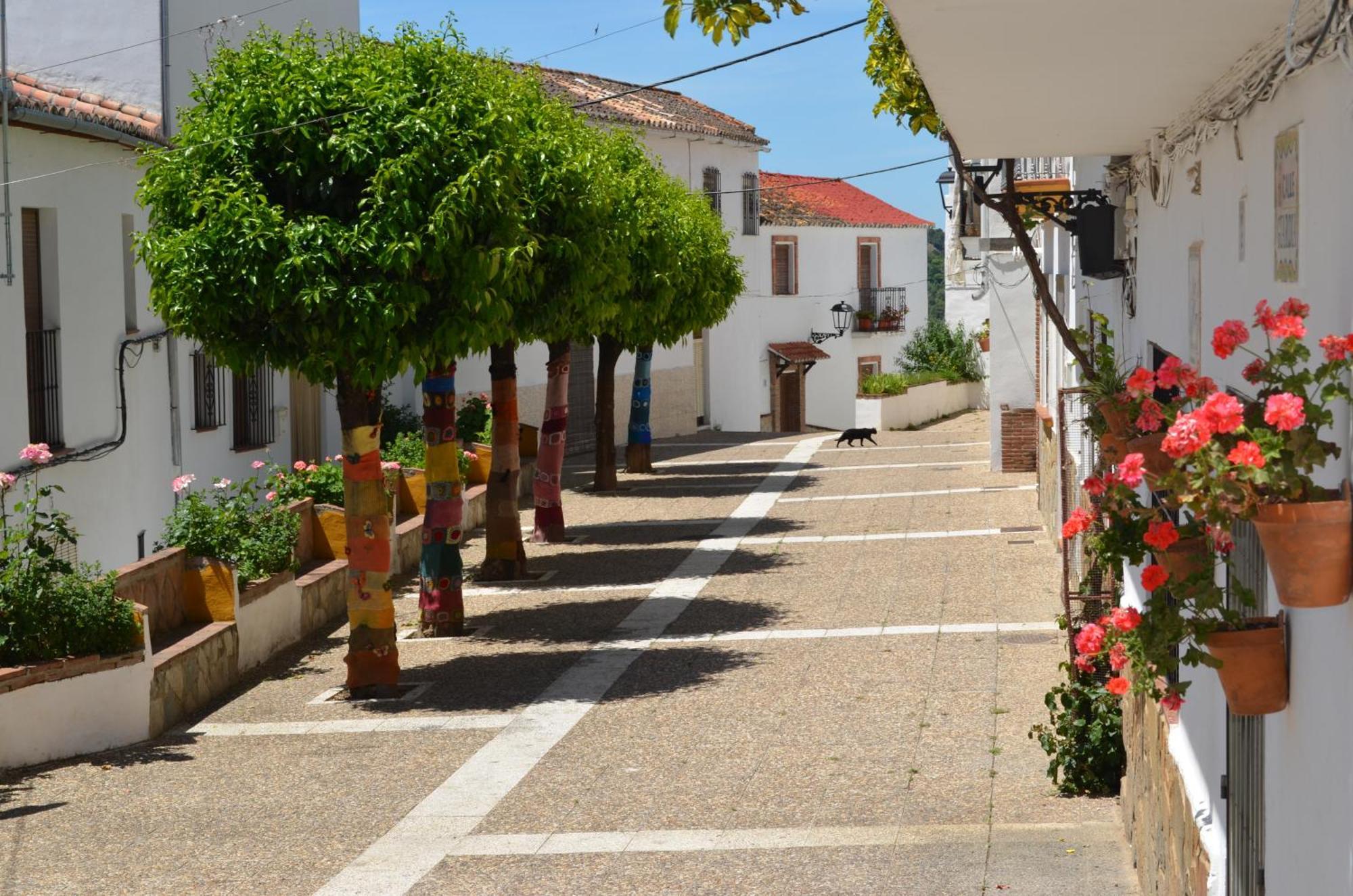 Finca El Molino De Aceite Jubrique 外观 照片