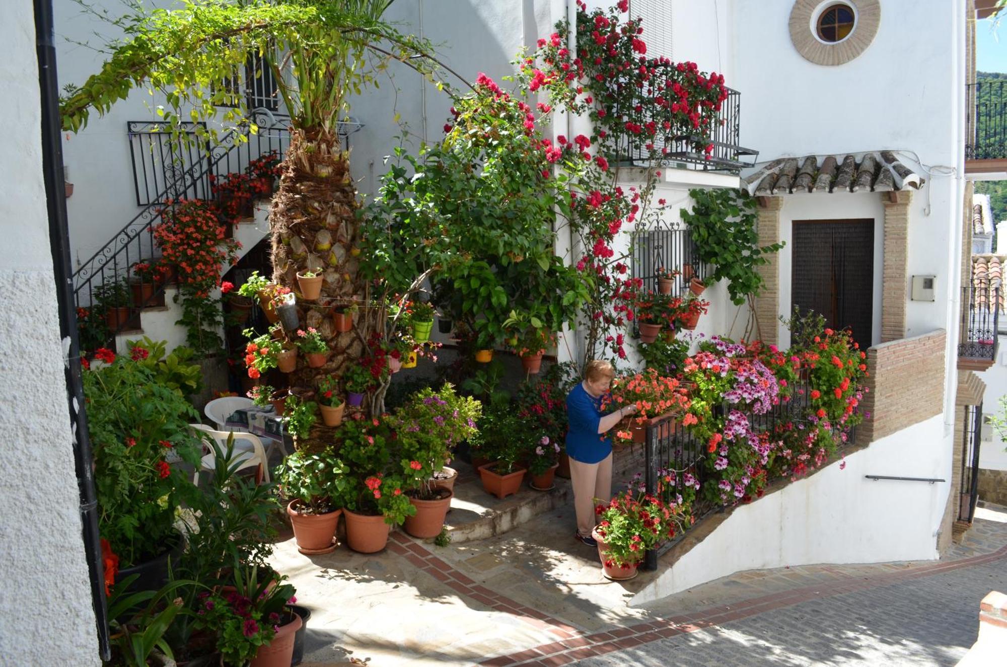 Finca El Molino De Aceite Jubrique 外观 照片