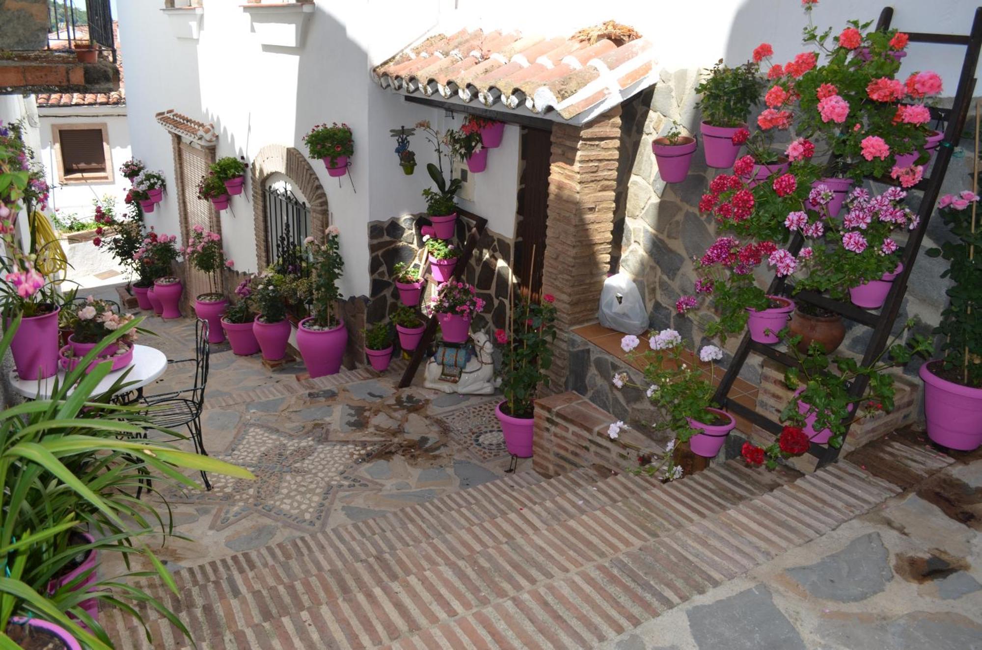 Finca El Molino De Aceite Jubrique 外观 照片