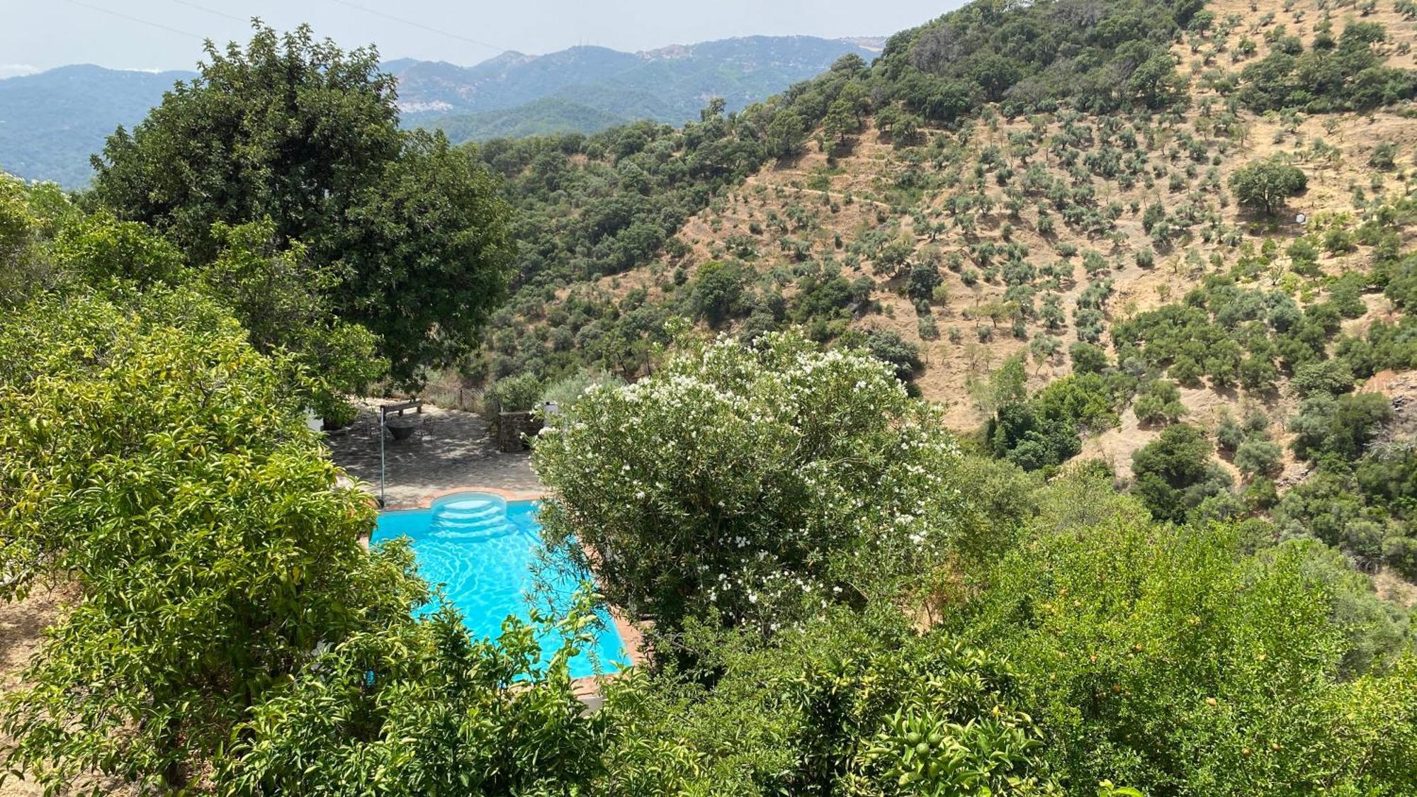 Finca El Molino De Aceite Jubrique 外观 照片